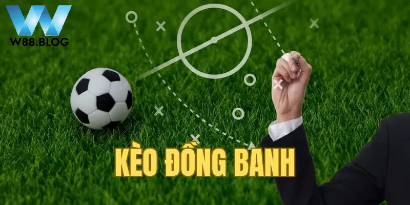 Kinh nghiệm soi kèo đồng banh W88 trận đấu Baca với Real 3 Luôn cập nhật các thông tin từ chuyên gia